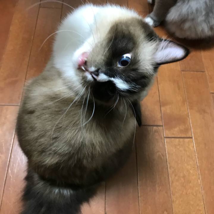 88d8981a 41ff 43cd bc98 d6582b4fbdd1 1508421103601