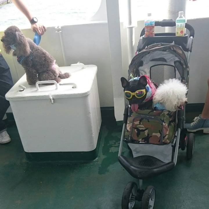 88d8999c 5655 455e 8860 67bf69236894 1528425822407