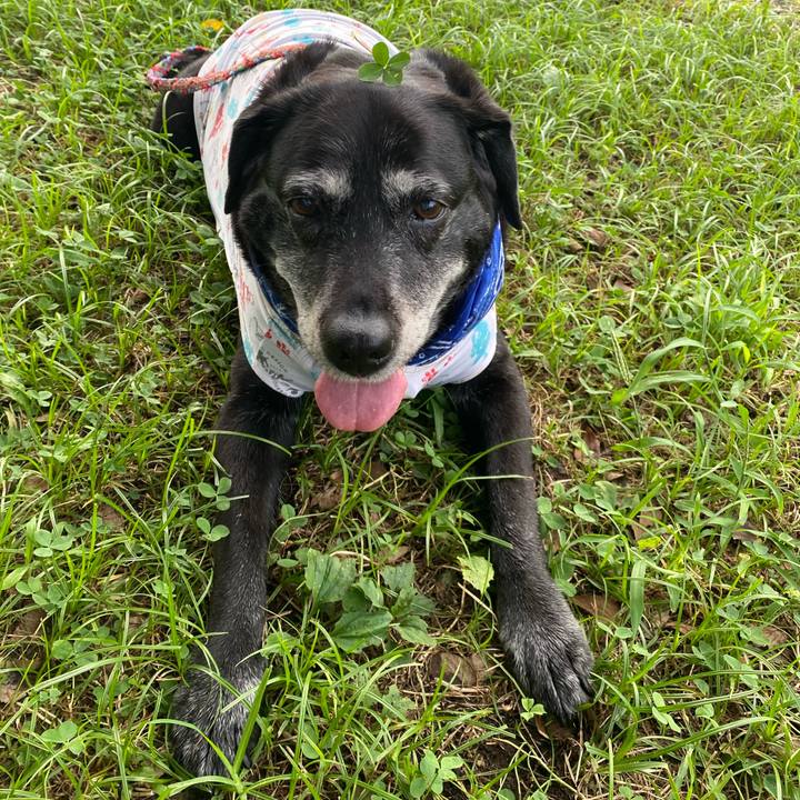 88d8af2e 00b9 44cd 9b89 76d118c622f2 1693814542687