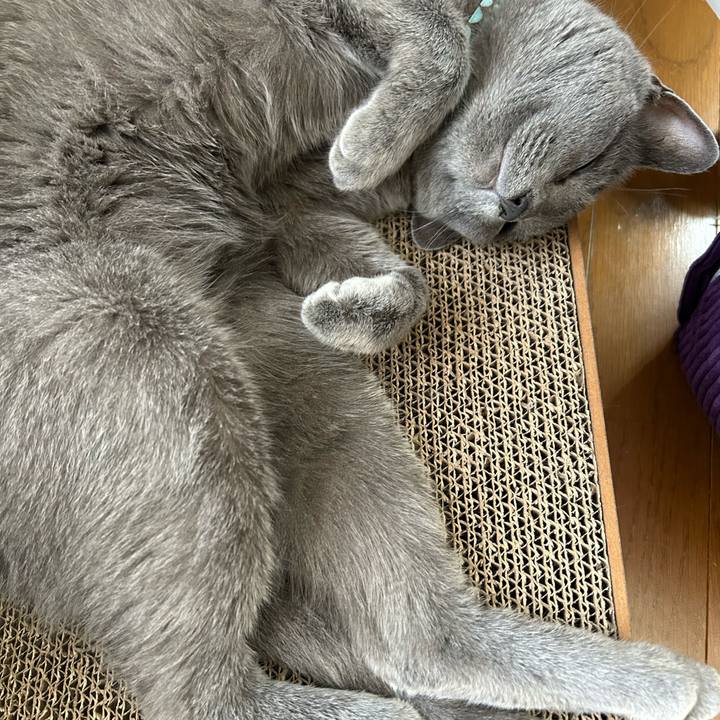 88d8b582 fd77 46d7 b583 ea5df1b9af0a 1688276525104