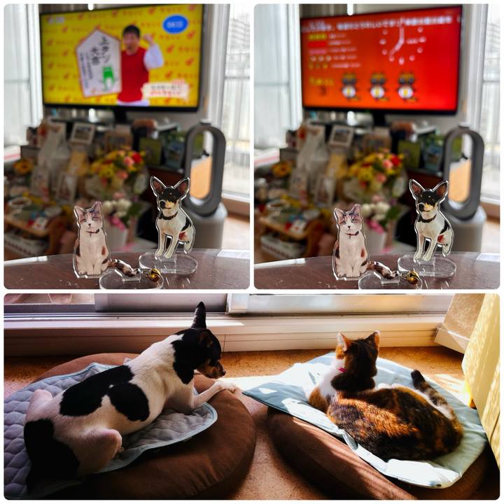 88d8e341 5660 4906 aff9 7f98ac17d475 1748210778184