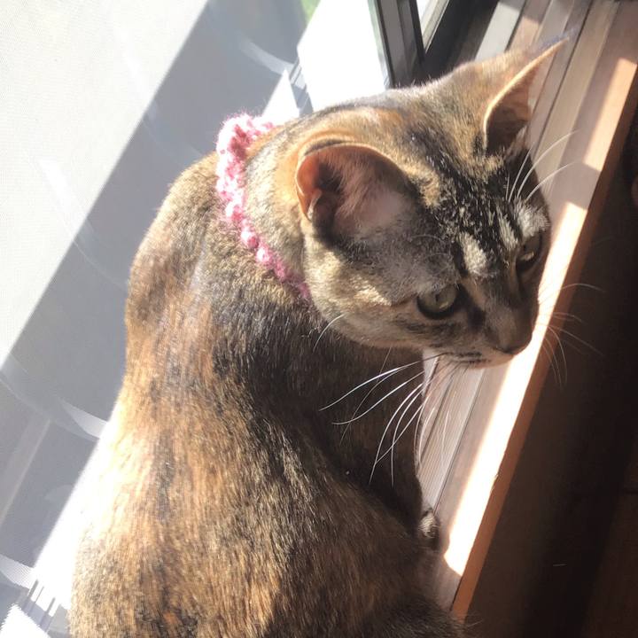 88d8edf8 4964 43a1 8a9e 76e55be1beeb 1589248976620