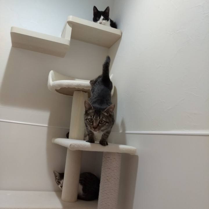 88d91925 3bd1 4f74 adf7 d9b86c10326b 1572354118123