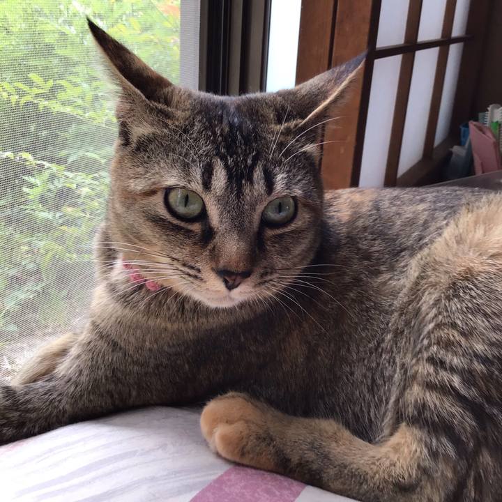 88d9274d f205 406b 895c 97b69e0aad60 1588483888712