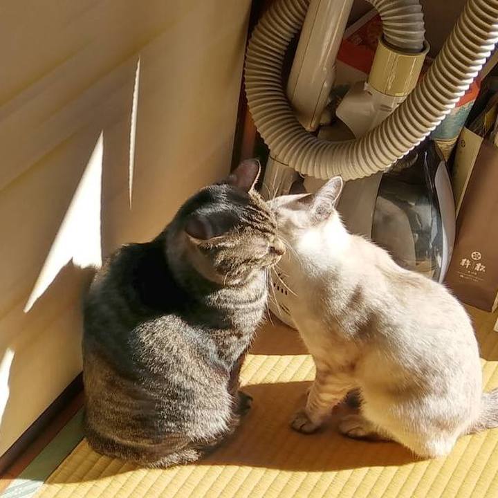 88d94914 848f 420a 87e6 77aa22d6e689 1546223566165