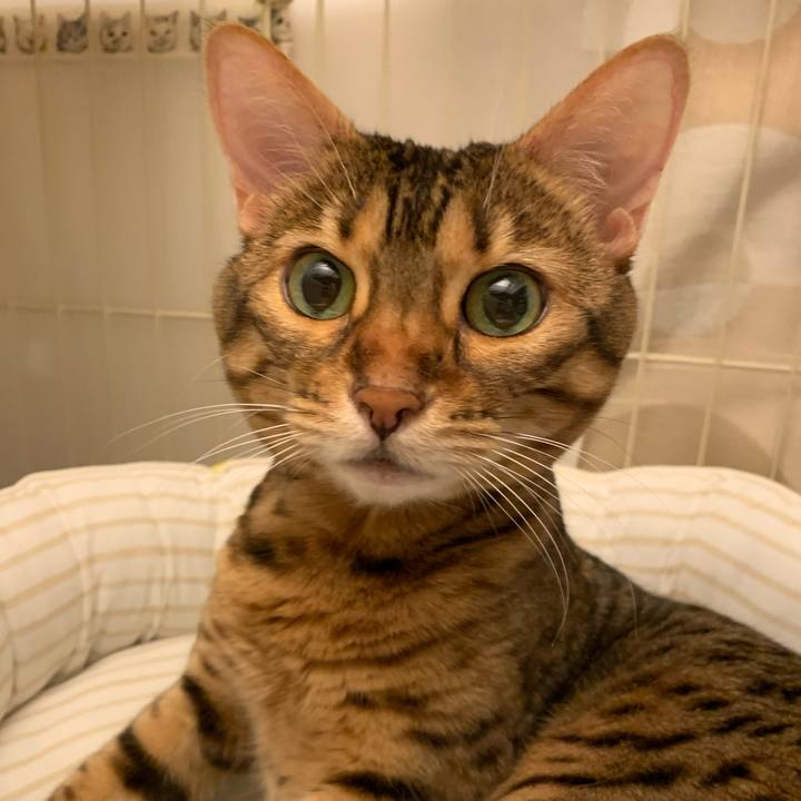 88d978ae aefc 4b27 a883 79253f785a07 1627864806495