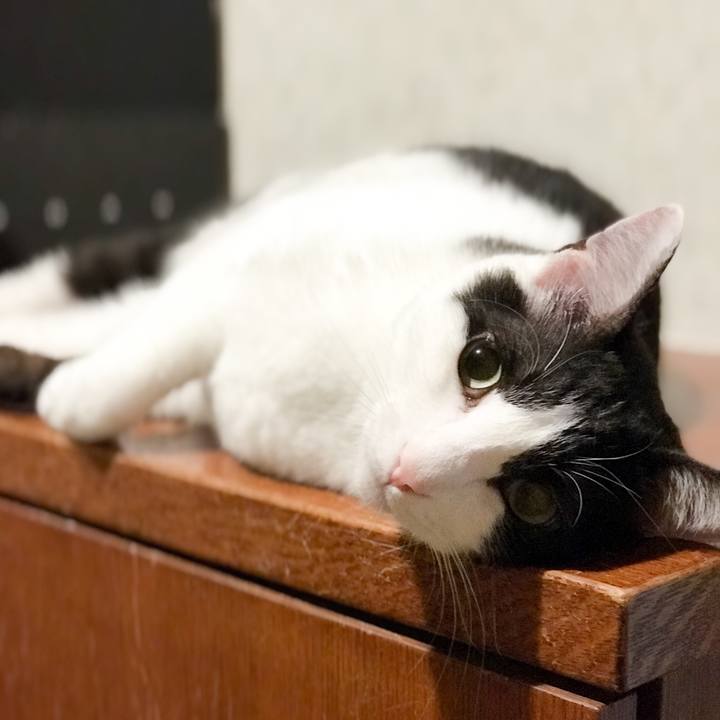 88d9b104 f92a 4a1e 9aac 751050bb49d2 1528769872913