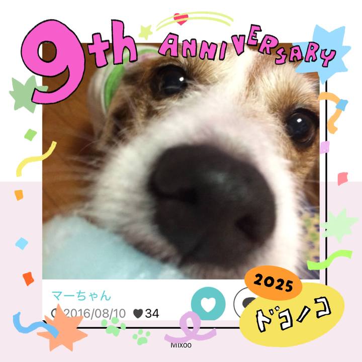 88da1122 2f54 482a 86b8 575ae6928cb2 1749539024358