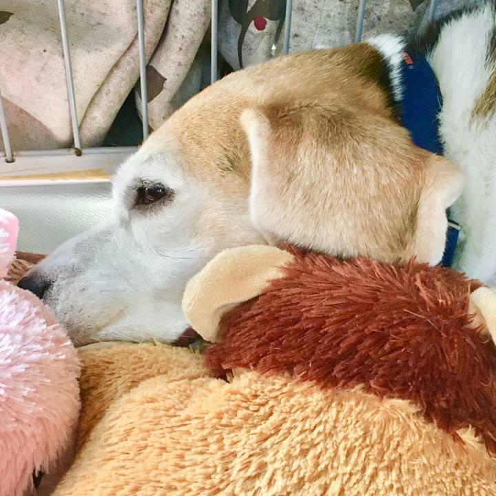 88da7cc8 b5b5 4738 9c11 00a3587f5f51 1762235600677