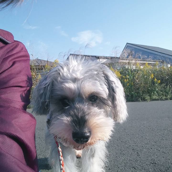 88da8dc1 3d42 47b9 8acf e92a12ab78b1 1666563930542