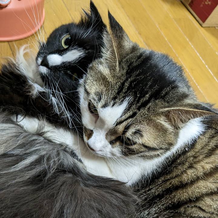 88da9172 d036 4250 b98b fcb0f9c4751c 1680430355417