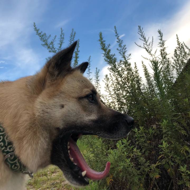 88daab67 45e8 4672 9939 e7943863f9f8 1564401869977