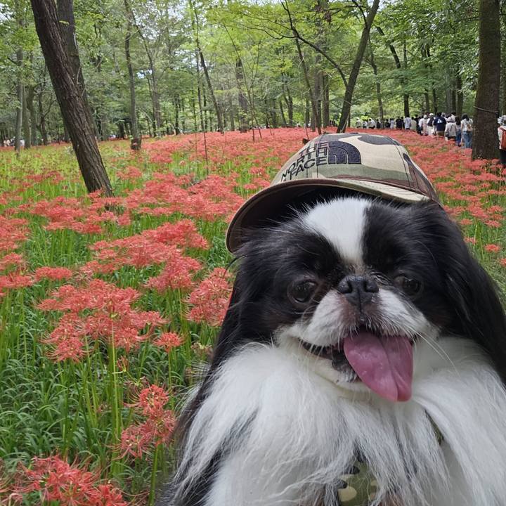 88dadbff 79f1 4e89 a4d7 42e0a3e26670 1695984916179