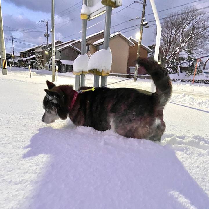 88dafc75 e762 4947 a78d e3c4248a66a6 1736462279681