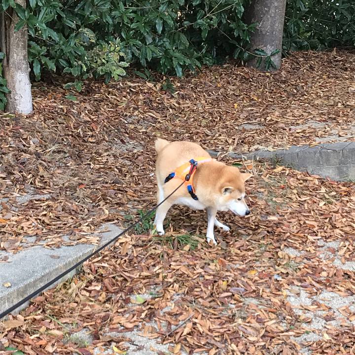 88db01d1 7186 47b5 8172 87a9a13c9e84 1542369823160