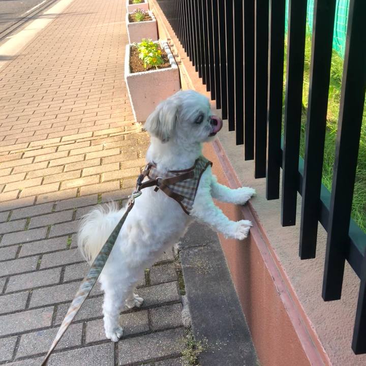 88db32fa cb54 40b4 972c e8353d02403c 1716500715189