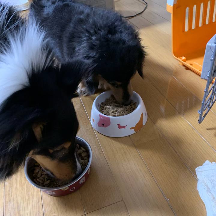 88db377b 0ed4 4054 a437 6870602083c2 1550094372443