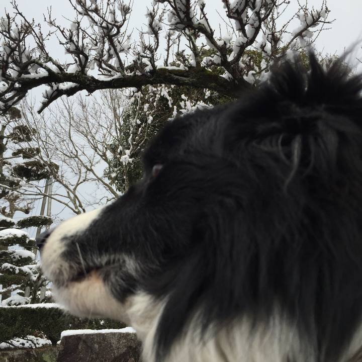 88db8092 8789 40c4 a707 437aea32d509 1518394284573