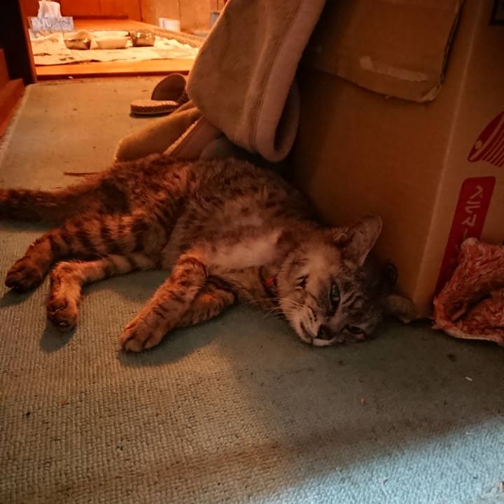 88dbb605 8cdb 4b8f b36d 2a37afa4cd52 1598616050079