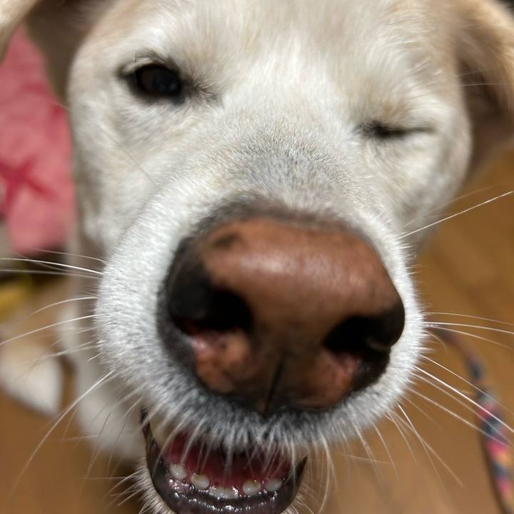 88dbf706 4d2f 4914 a360 7223ccad68d5 1731026938255