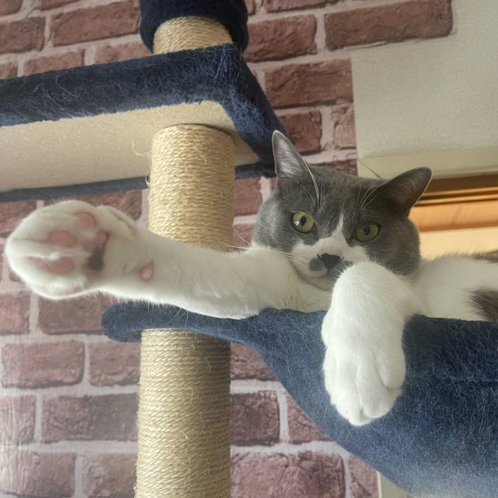 88dc05eb f71b 4dbb ae2e 3d381c10cf3c 1665701772943