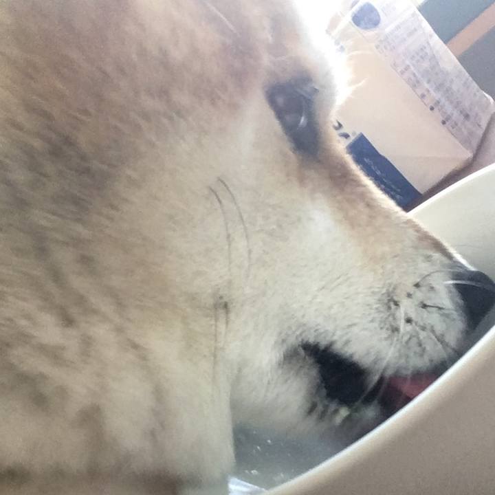 88dc148b eae8 4bfa 9e82 f63b5508aa8c 1588386484539