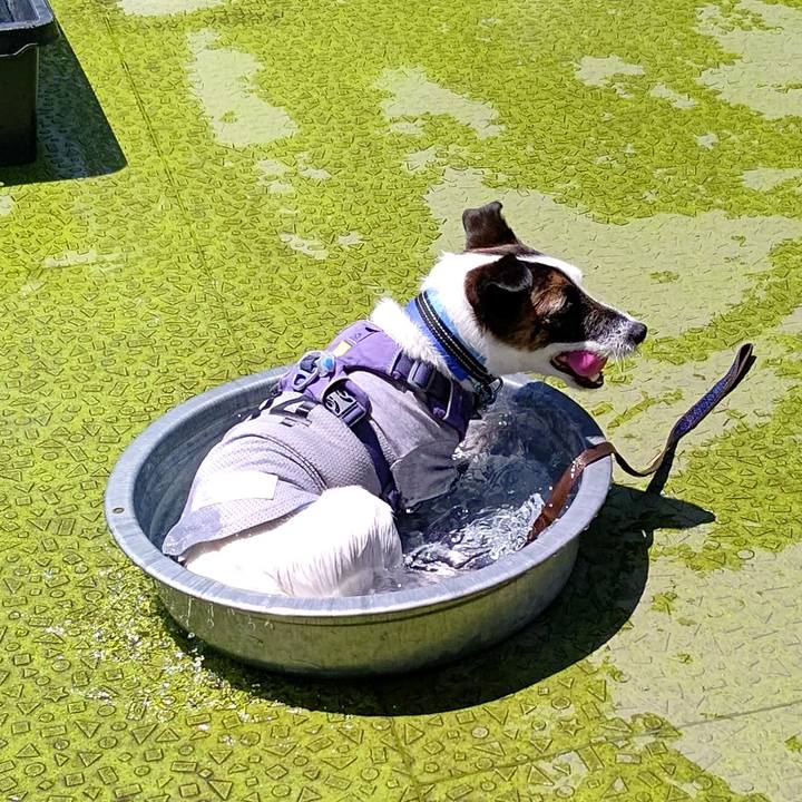 88dc307b 859e 4a9d a666 2a3bdaa574df 1685972570444