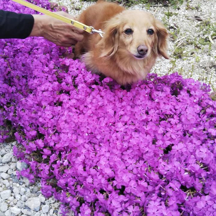 88dc32d2 cfcb 4fc4 b2be b5f43ba7563c 1617440998110