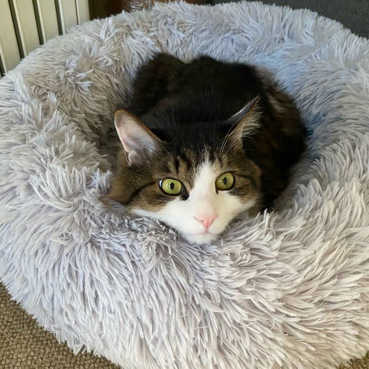 88dc39c0 ace3 4267 a48e af84eb99a406 1583393547873