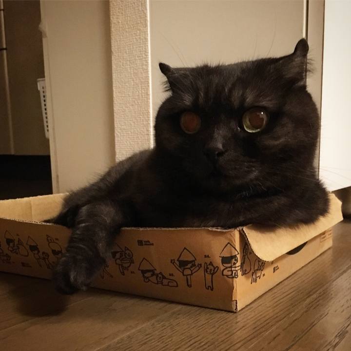 88dc65e3 275c 4675 8f52 a1c418e9ea42 1559752109762