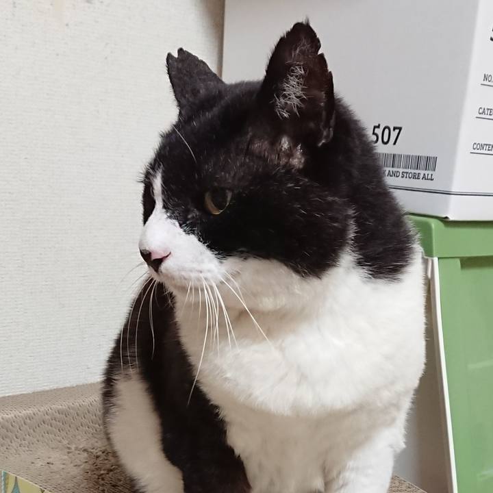 88dc83d7 b1d4 4da1 a9bc d006896ab749 1634787102427