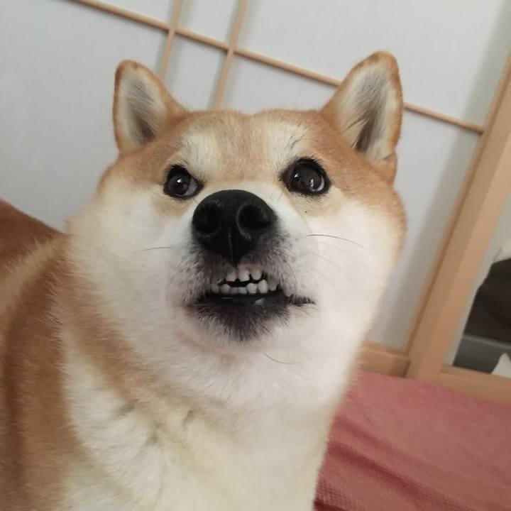 88dc8e2e 0bcb 48dd bb75 058c6bf861d1 1541342213370