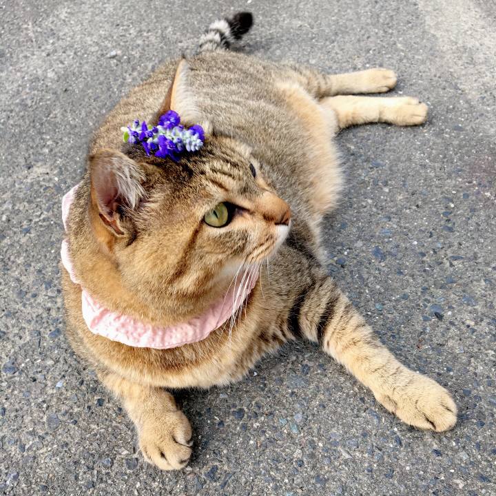 88dcc361 474d 45af a839 94c278bbc61c 1626343625931