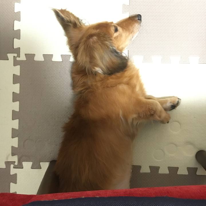 88dcc4c1 a752 4996 86fa 016db13f53a1 1570276200041