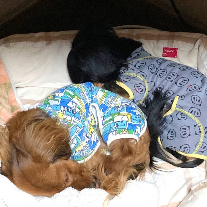 88dcfed8 345c 42e6 82b1 f0df9111cd82 1734700185198