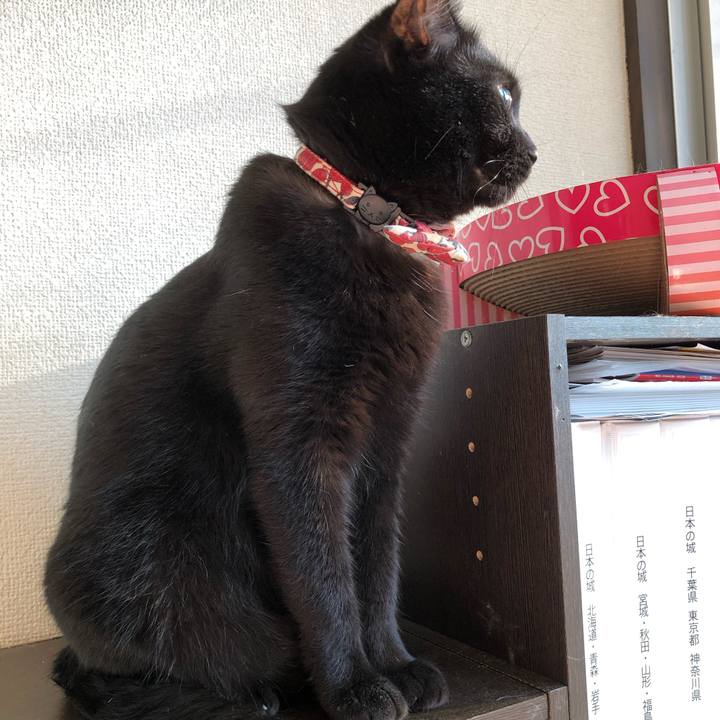 88dd247f d2ad 4fb1 87bd bc497879ae0e 1601686090741