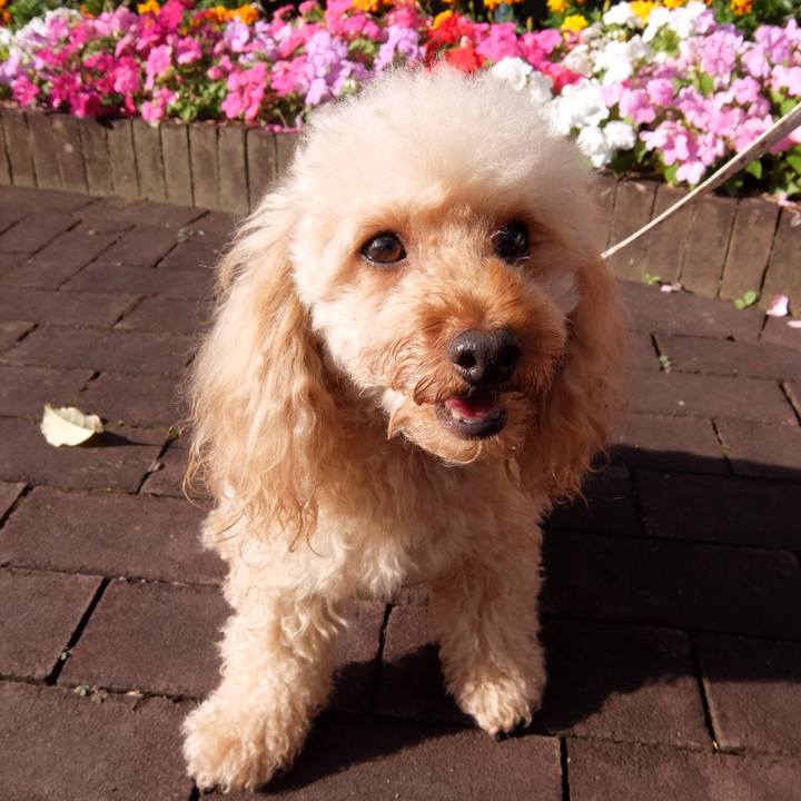 88dd2b7f 29e8 4b28 a798 aa8c0ac95c6d 1529057438050