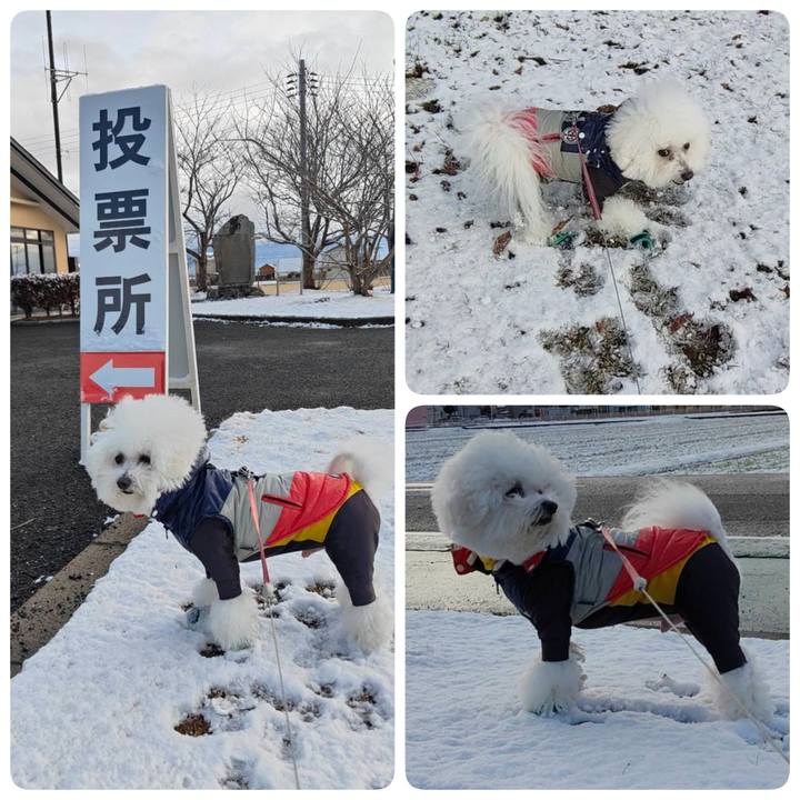 88dd4dd0 51d9 49f8 9dbb 74c9115eebaf 1770517403587