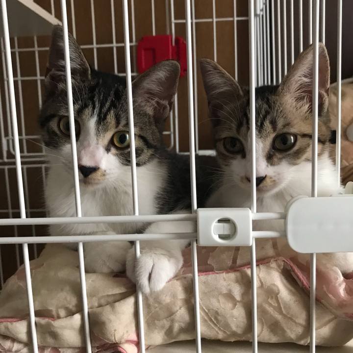 88dd6198 f3ef 4a12 8a23 d6c8ca8406e0 1599736746769