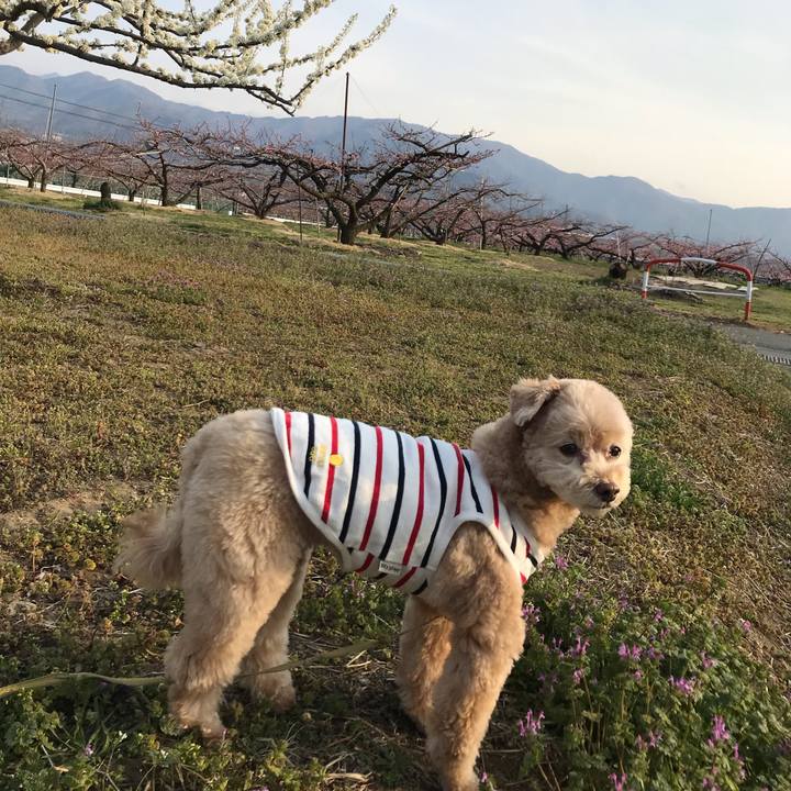 88dd84c5 0466 44ff 9ecf 66138a11704d 1553854080581