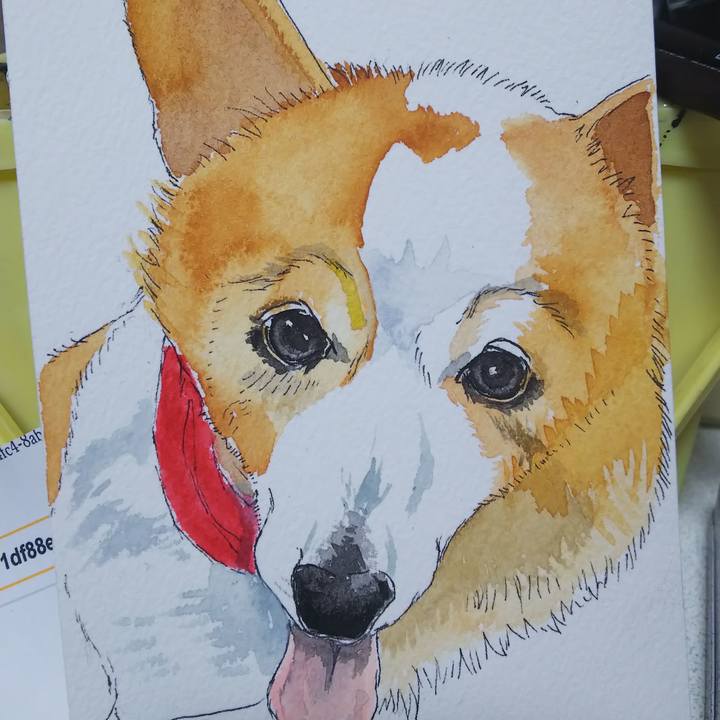 88dda1c5 adb2 48dc 96c7 28649683303f 1578163366827