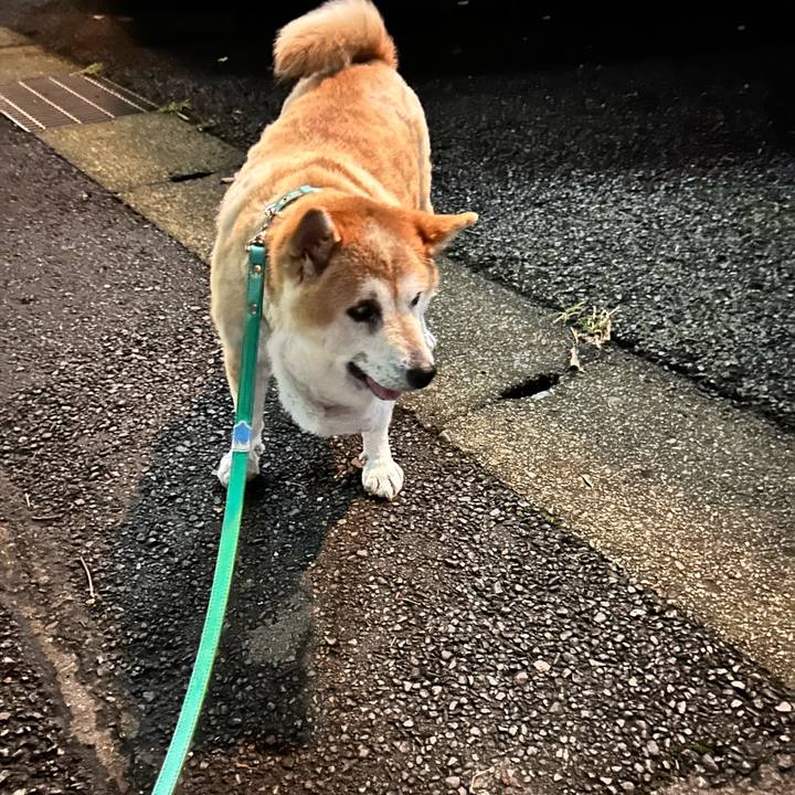 88ddc087 3207 4d21 a5eb c1648825f443 1757584555515