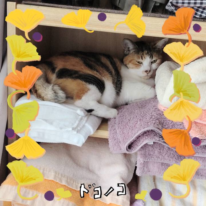 88de20fc 8a4f 4c29 b887 8ef88d041e80 1729265064761