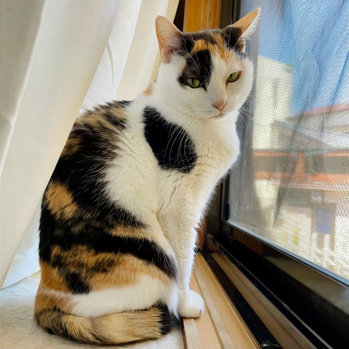 88de4fdc 46e0 42a7 9e02 2ae0e164da41 1622168926604