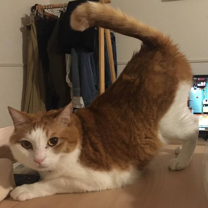 88de8020 4dbd 4c7f b54e 3cf42310a5b1 1585541064712