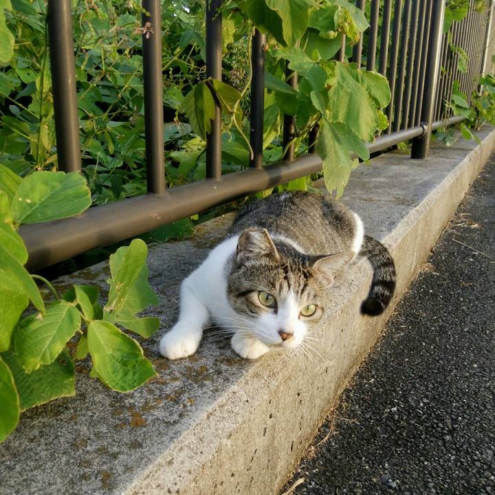 88de9bd3 ddbe 4a99 b7ee a1bd9fb2a9c4 1538825405237