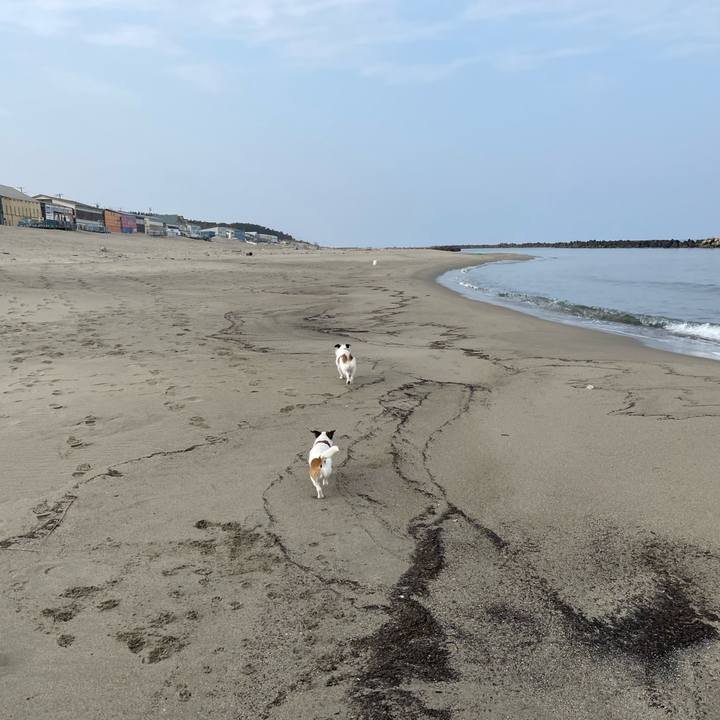 88dea24f b75d 4a56 9f90 7e98b859fcce 1647046509083