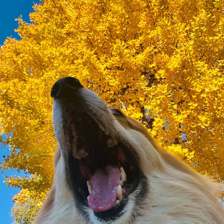 88deaf89 afb7 4e25 8a9d 378ecc6768b0 1765514694234