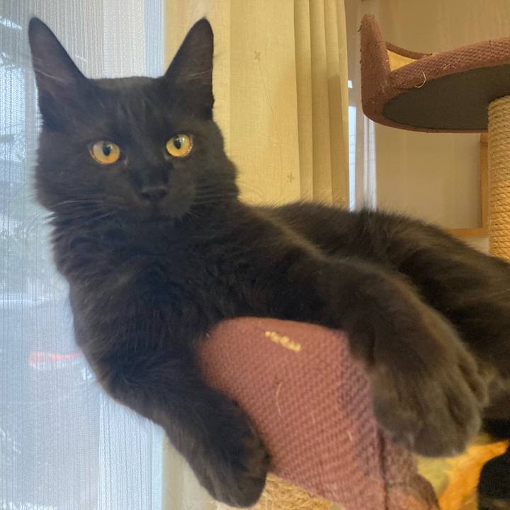 88deb63c 6b87 477d 89df fd02ccfbbfbb 1708558807600