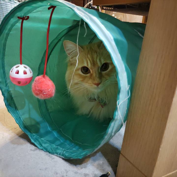 88ded43c 6203 4f9c 8638 0956b791028d 1685878618004